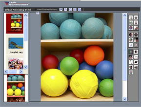 Image Processing Web Forms Demo